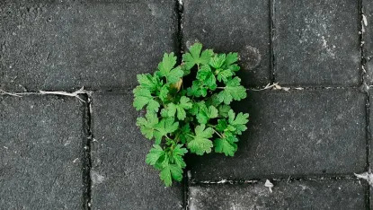 Kasino Deposit Win Mobiilisovellus